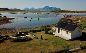 Bird View Lofoten