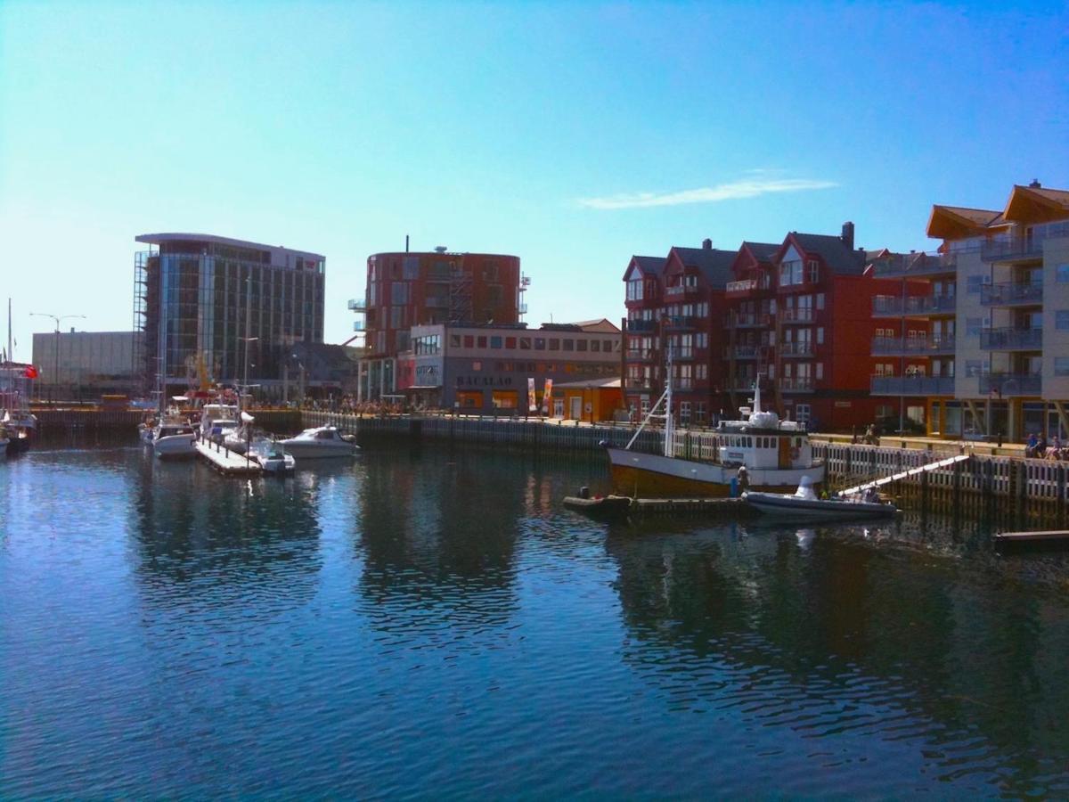 Bird View Lofoten Bostad Exterior foto
